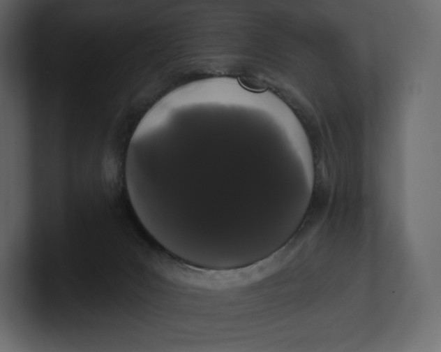 X0000100890031200807151106