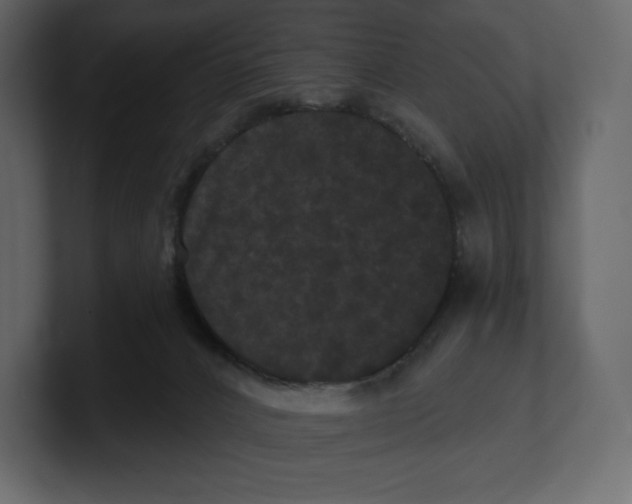 X0000100890032200807151106