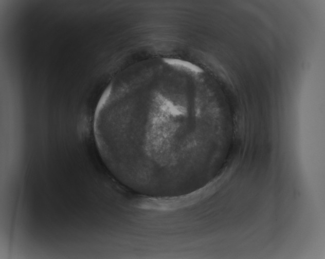 X0000100890033200807151106