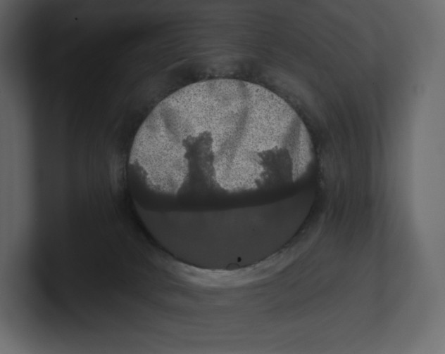 X0000100890034200807151106