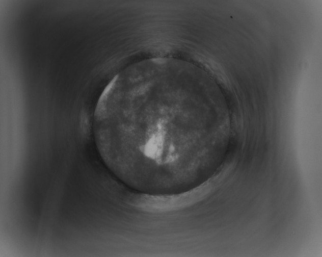 X0000100890037200807151106