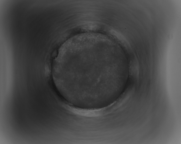 X0000100890040200807151106