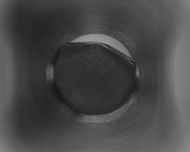 X0000100890041200807151106