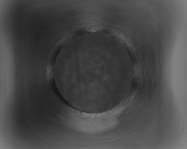 X0000100890043200807151106