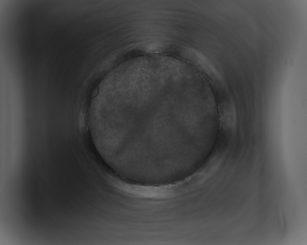 X0000100890044200807151106