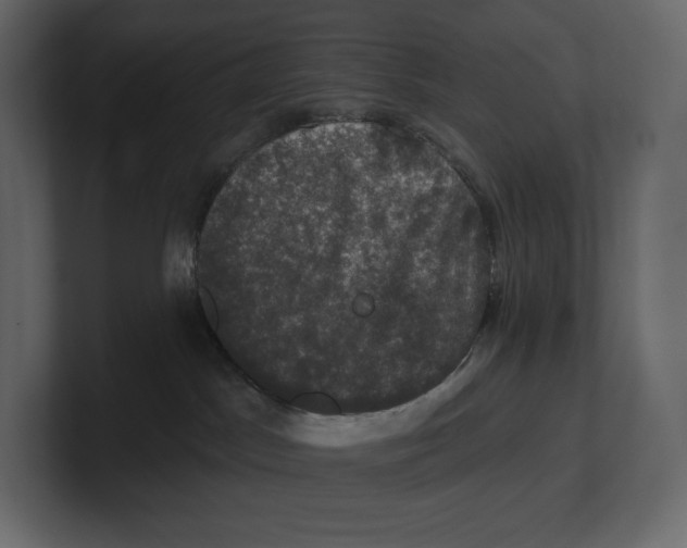 X0000100890045200807151106