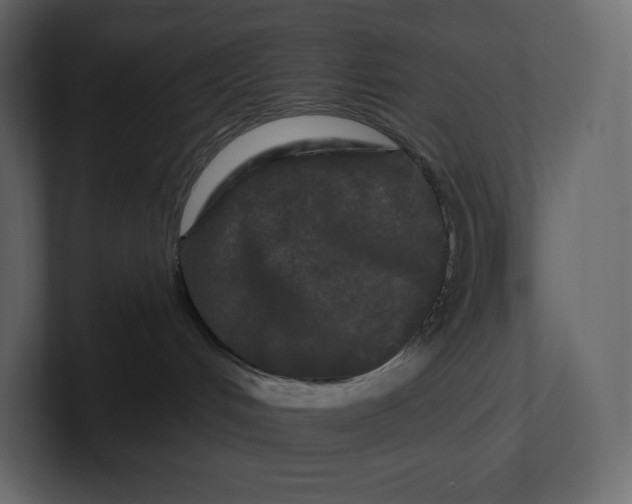 X0000100890048200807151106