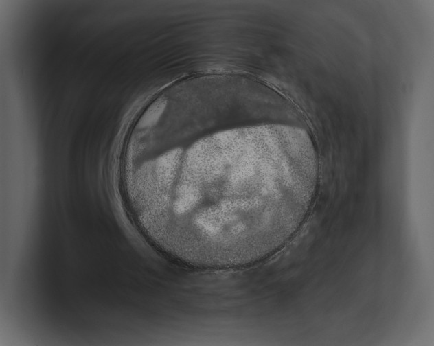 X0000100890049200807151105