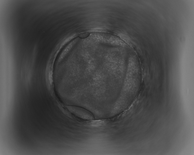 X0000100890050200807151105