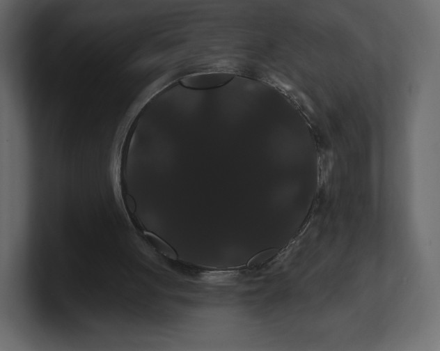 X0000100890051200807151105