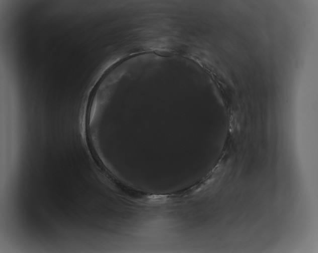 X0000100890052200807151105