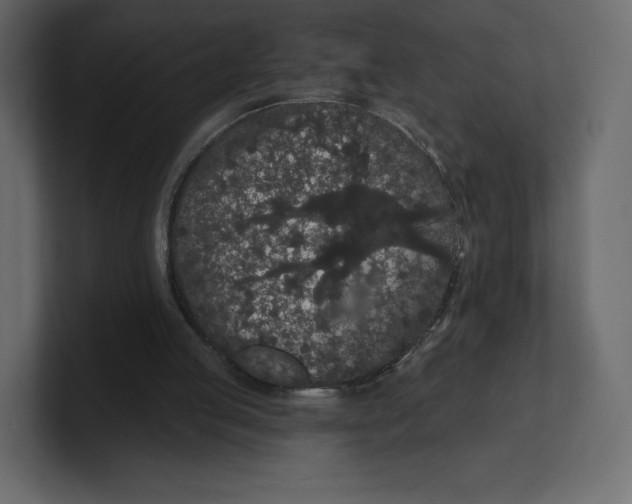 X0000100890053200807151105