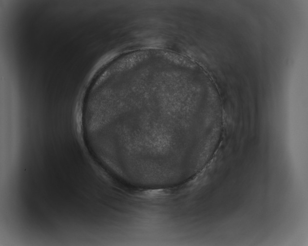 X0000100890054200807151106