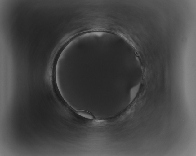 X0000100890055200807151106