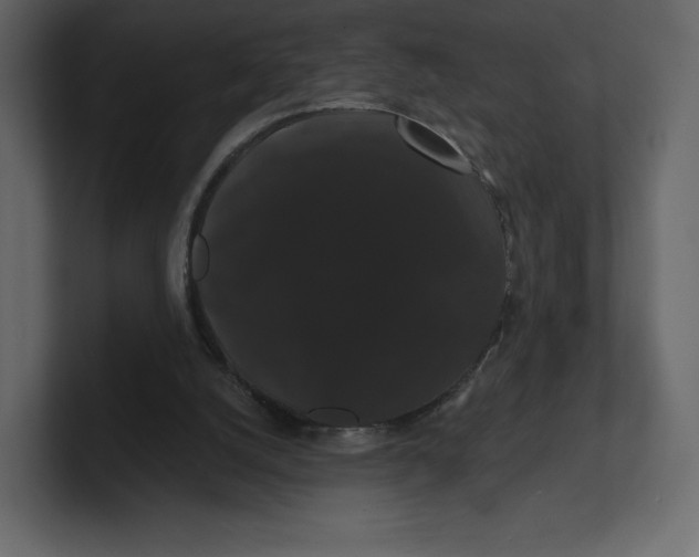 X0000100890056200807151106