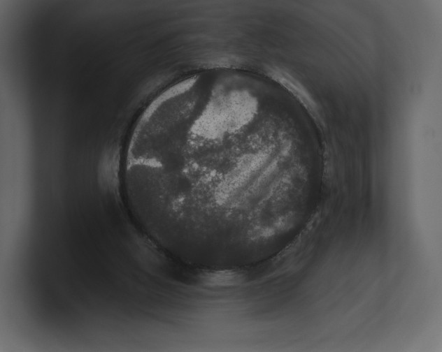 X0000100890058200807151106