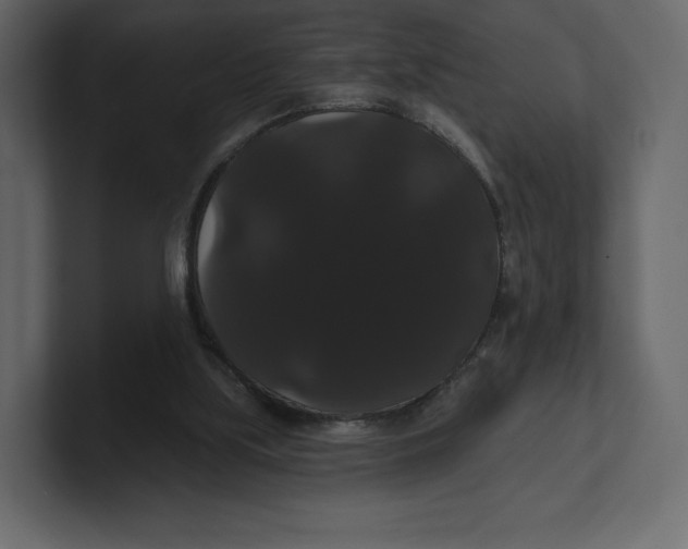 X0000100890059200807151106