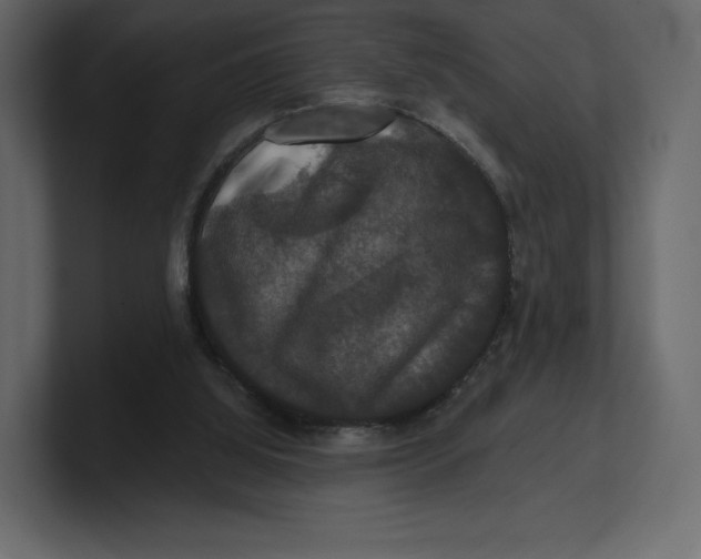 X0000100890060200807151106