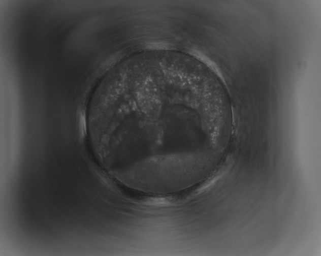 X0000100890061200807151106