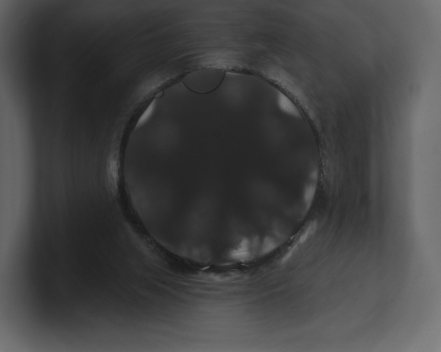 X0000100890063200807151106