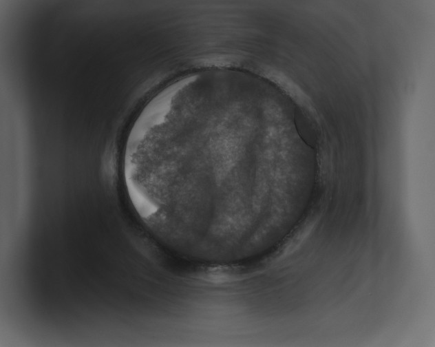 X0000100890064200807151106