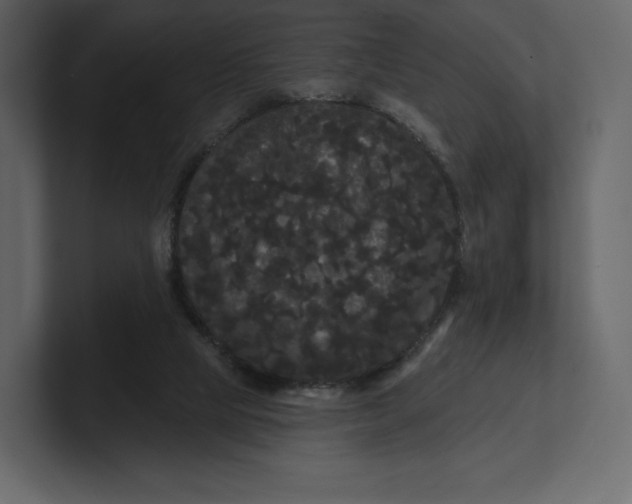 X0000100890065200807151106