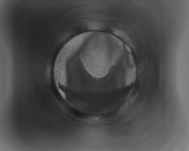 X0000100890066200807151106