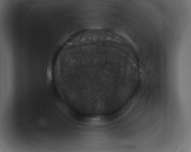 X0000100890068200807151106