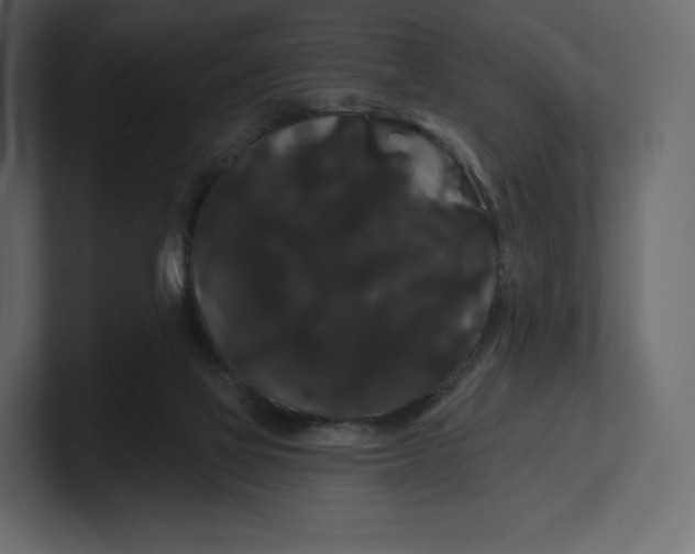 X0000100890069200807151106