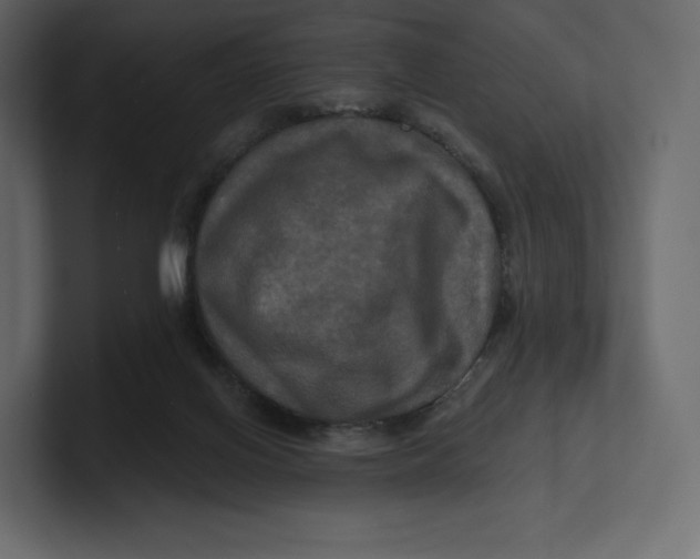 X0000100890070200807151106