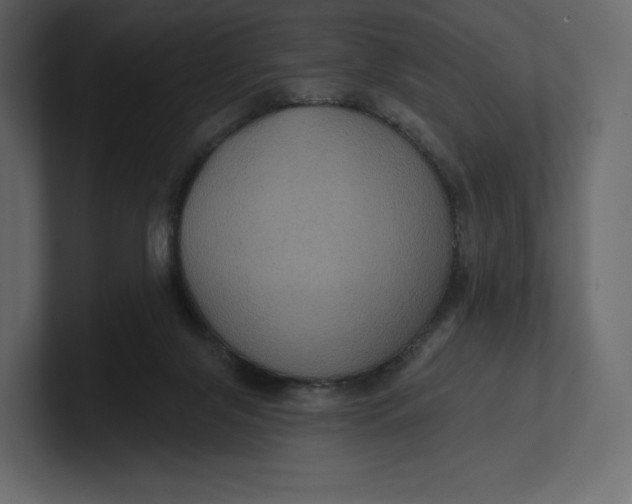 X0000100890071200807151106