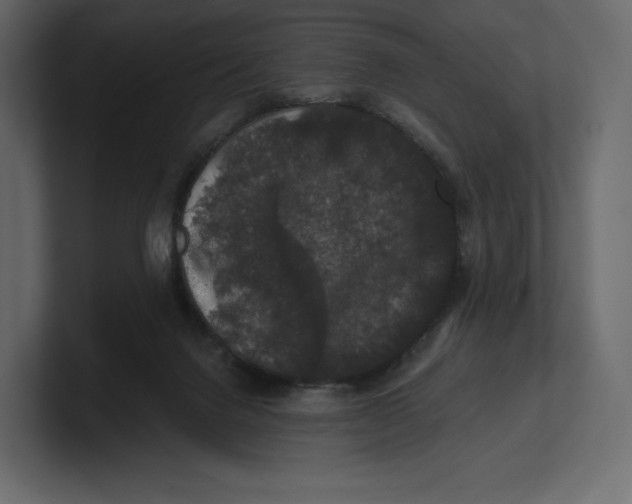 X0000100890072200807151106