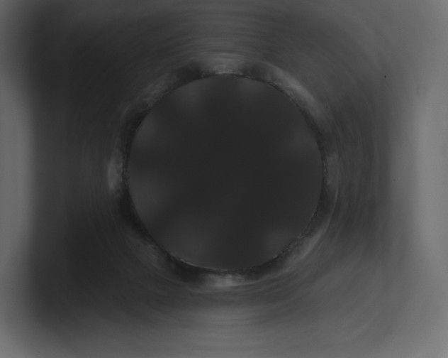 X0000100890073200807151106