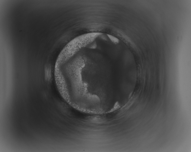 X0000100890074200807151106