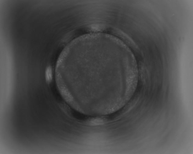 X0000100890075200807151106