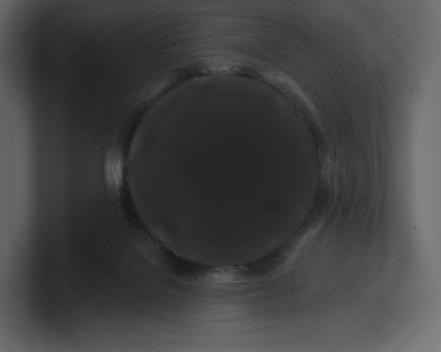 X0000100890076200807151106