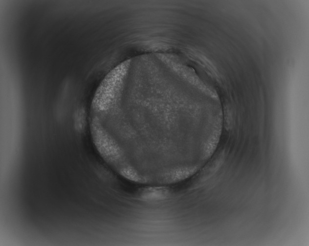 X0000100890077200807151106