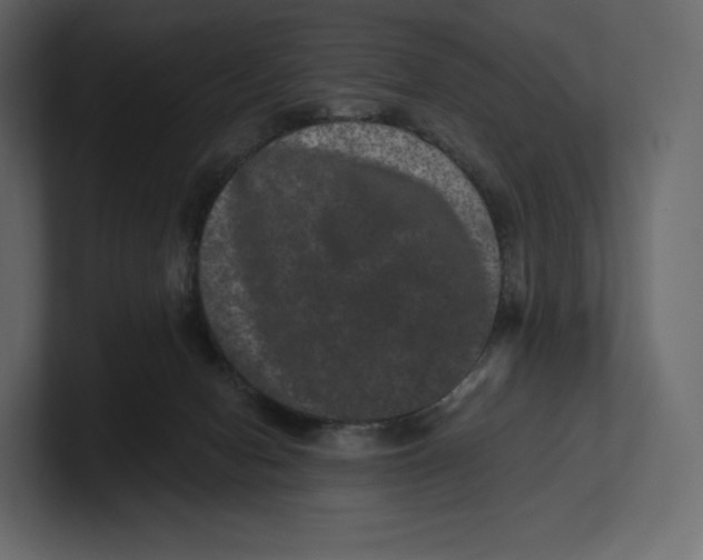 X0000100890078200807151106