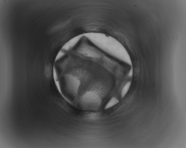 X0000100890081200807151106