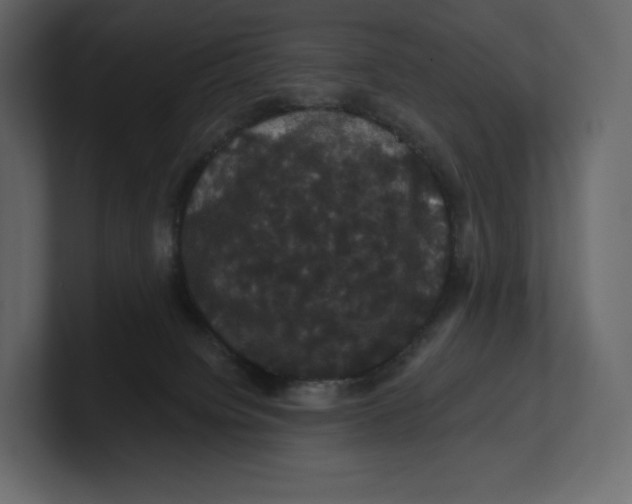 X0000100890084200807151106