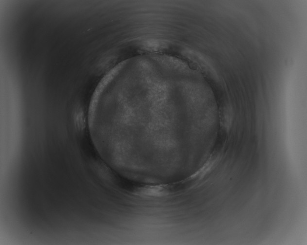 X0000100890086200807151106