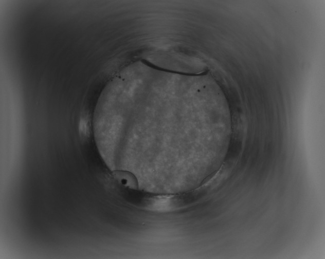 X0000100890090200807151106