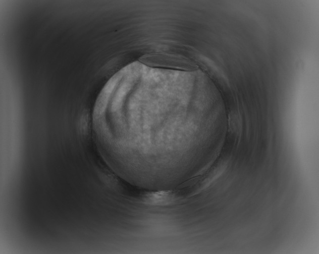 X0000100890092200807151106