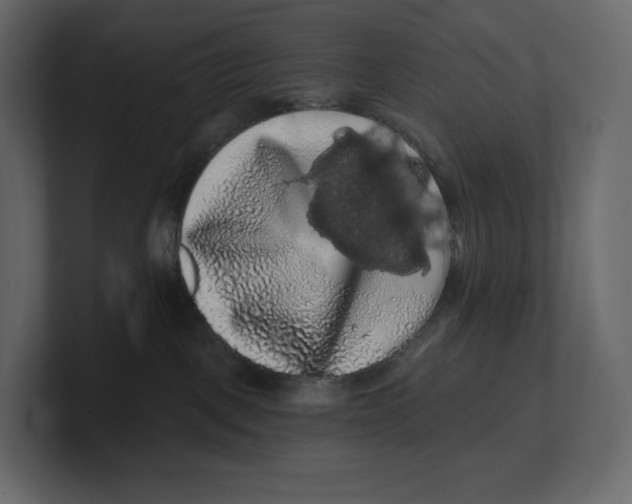 X0000100890093200807151106