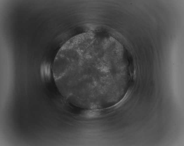 X0000100890094200807151106