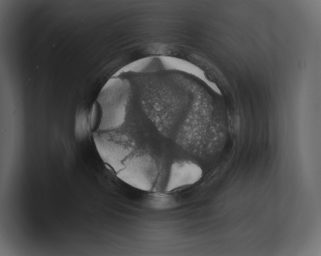 X0000100890095200807151106