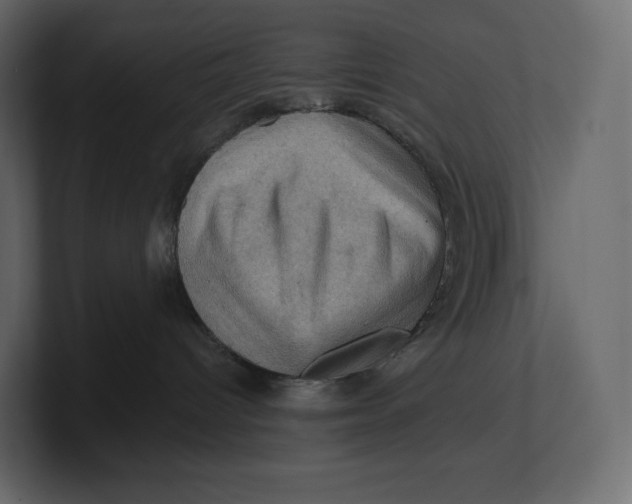 X0000100890096200807151106