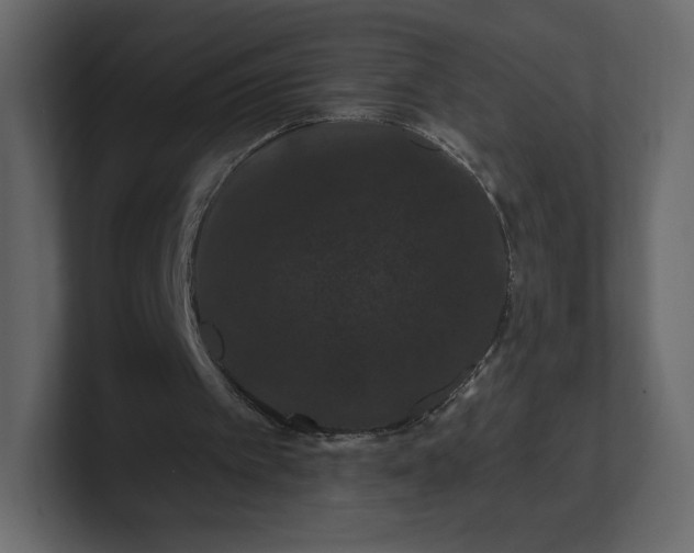 X0000100890097200807151105