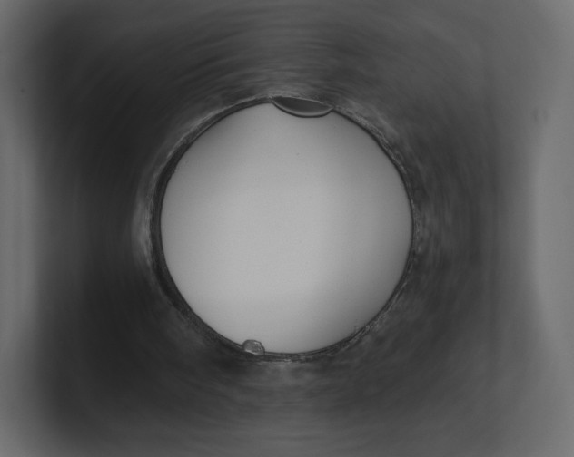 X0000100890098200807151105