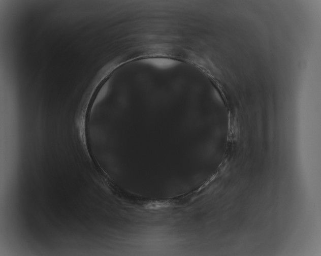 X0000100890099200807151105